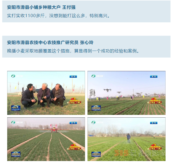 【记者调查：特殊之年的丰收密码（一）】蓄滞洪区打赢夏粮“保卫战”