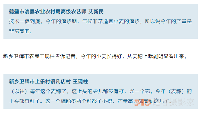 【记者调查：特殊之年的丰收密码（一）】蓄滞洪区打赢夏粮“保卫战”