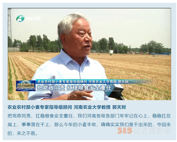 【记者调查：特殊之年的丰收密码（一）】蓄滞洪区打赢夏粮“保卫战”