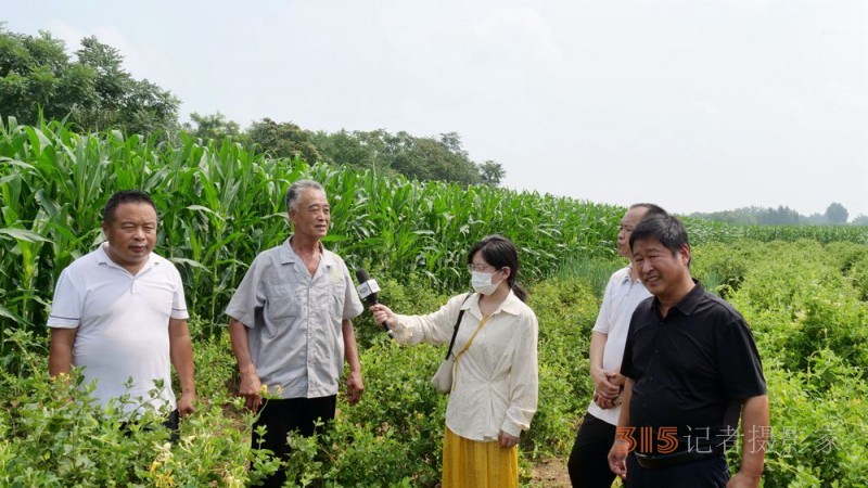 碳氢科技核肥技术助力巨鹿县金银花种植户零农残喜茯丰收