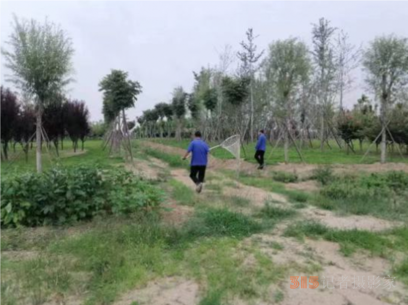 不文明养犬行为专项整治九龙在行动
