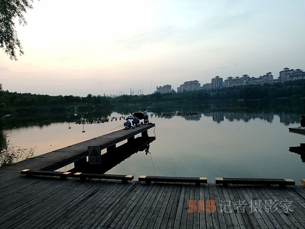 临水人家堪入画——马家湾湿地公园