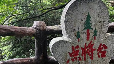 胡玉飞手机拍图——张家界