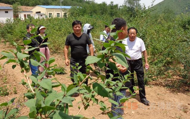 河南瑞龙德圣堂：为做经典饮片锻造“金名片”