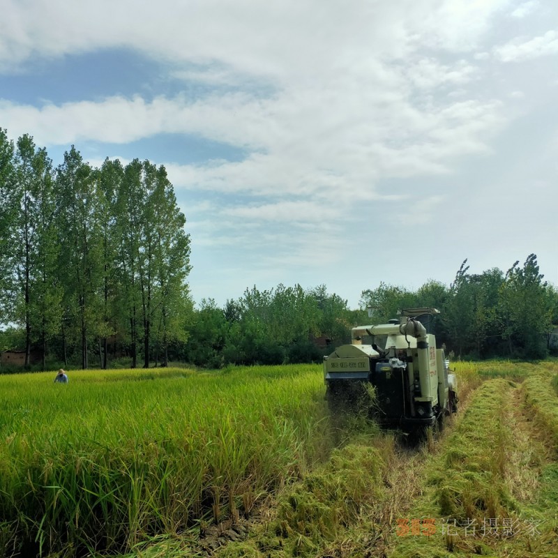 沉沙诗图：在一条光的小路走到黑