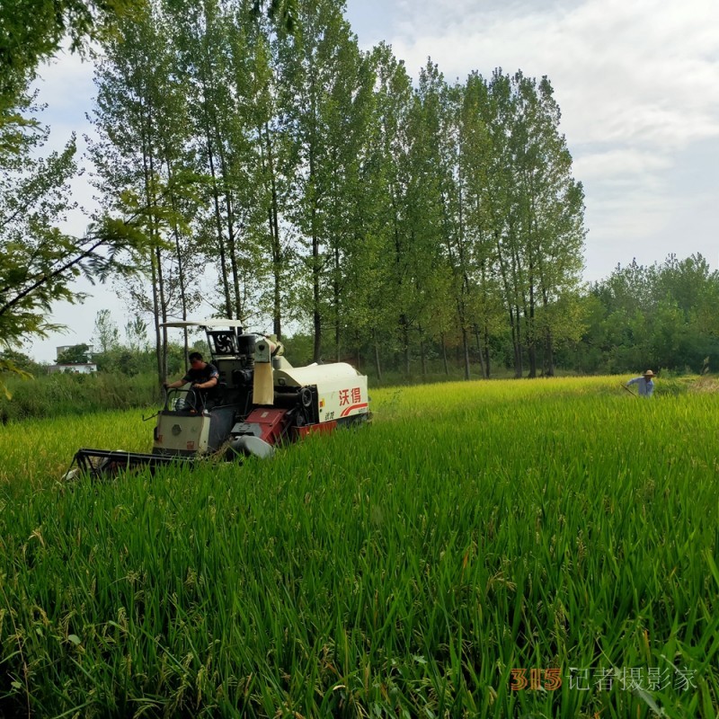 沉沙诗图：在一条光的小路走到黑