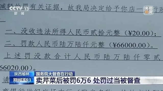 卖5斤芹菜被罚6.6万元，不是真法治