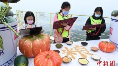 世界粮食日将至 重庆小学生绘画呼吁“节约粮食 从我做起”