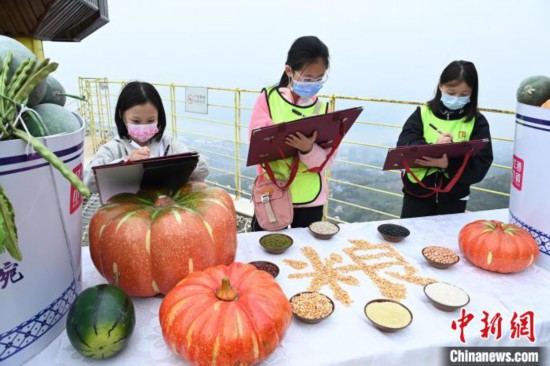 世界粮食日将至重庆小学生绘画呼吁“节约粮食从我做起”