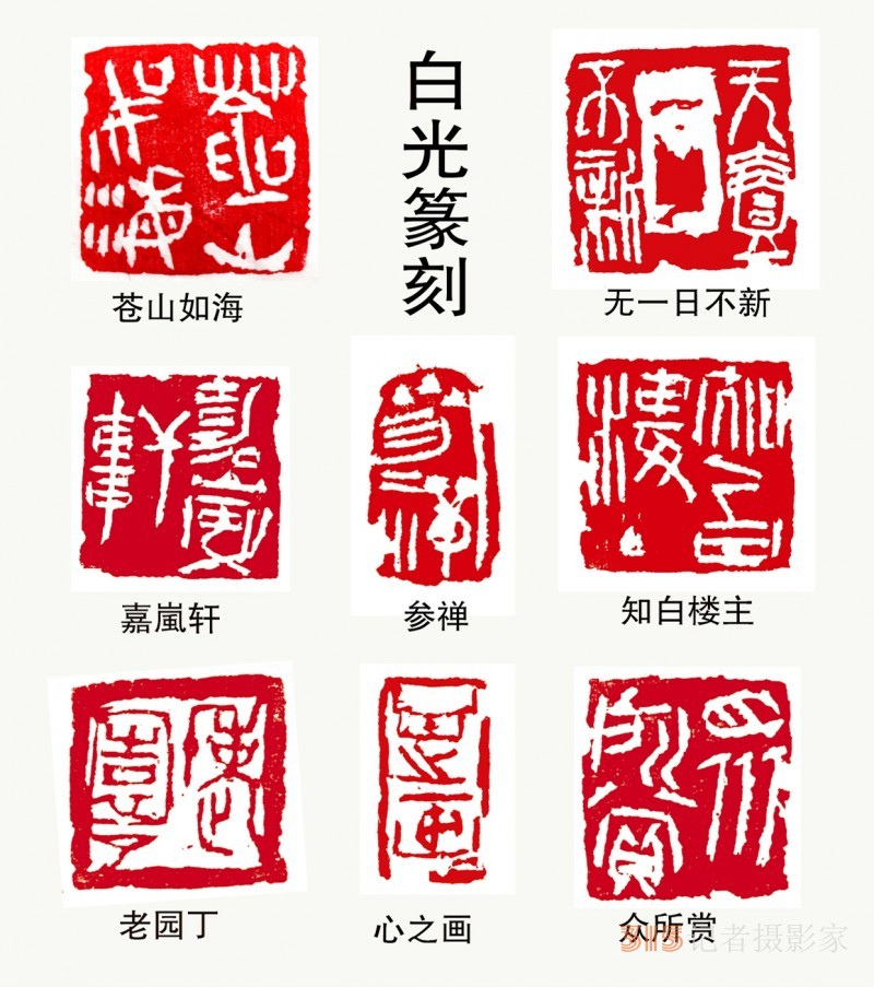 书画名家白光作品——以书入画 诗化丹青