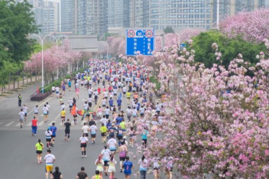 中国各地“赏花经济”玩出新“花”样
