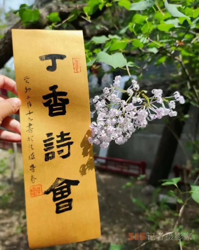 丁香诗会雅集·癸卯卷