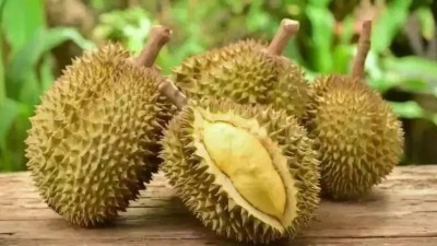 挑选榴莲的方法很关键！记住这3招