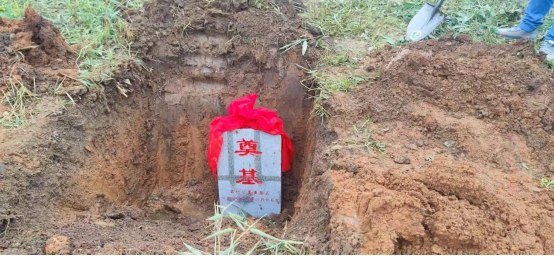 祖先福地好風光 葉茂根深播若芳