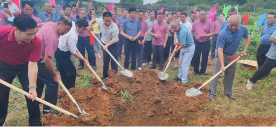 祖先福地好風光 葉茂根深播若芳