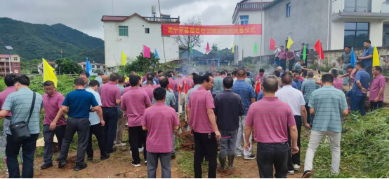 祖先福地好風光 葉茂根深播若芳