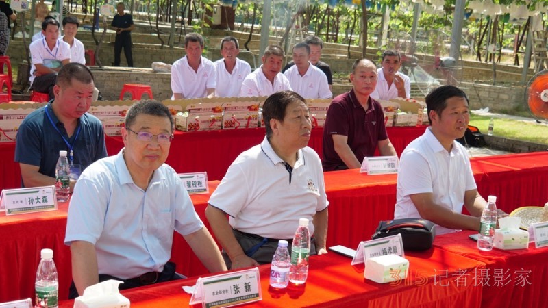 葡萄园里助农忙——碳氢核肥碳氢葡萄现场观摩会在福建福安象环村召开