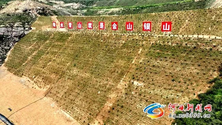 【一泓清水入黄河 河曲在行动】河曲旧县镇：深入开展农村人居环境整治 全力护卫“一泓清水入黄河”