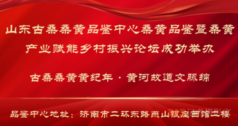 山东济南：古桑桑黄黄纪年，黄河故道文脉绵