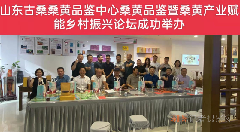 山东济南：古桑桑黄黄纪年，黄河故道文脉绵