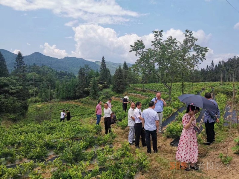 名家走基层助力乡村振兴活动在酉阳木叶乡举行