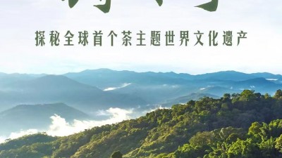 一山一叶铸传奇——探秘全球首个茶主题世界文化遗产