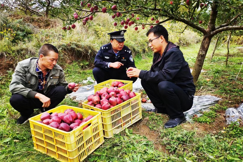 金秋十月好“警”色 丰收时节“警”相随