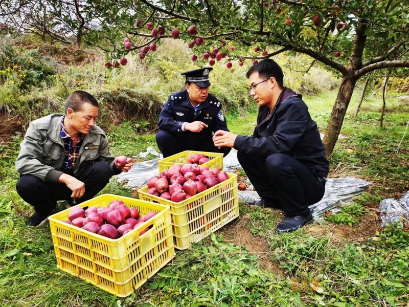 金秋十月好“警”色 丰收时节“警”相随