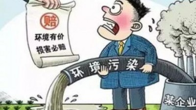 123亿元生态环境损害赔偿金如何使用