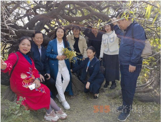 第四届丝绸之路国际诗歌艺术节在陕西成功举行