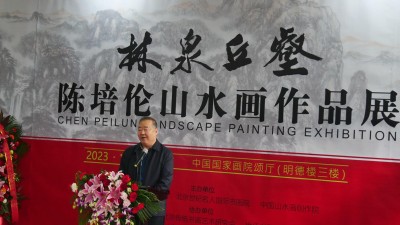 视频：林泉丘壑—著名画家陈培伦山水画展在中国国家画院隆重举行