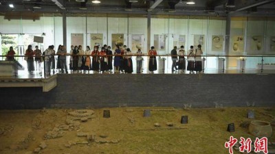 大学生为什么喜欢“逛”博物馆？不只是为了“打卡”