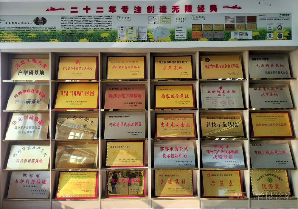 热烈祝贺邯郸金益农生物科技开发有限公司的蒲公英茶被推选为“百佳地方特色产品”