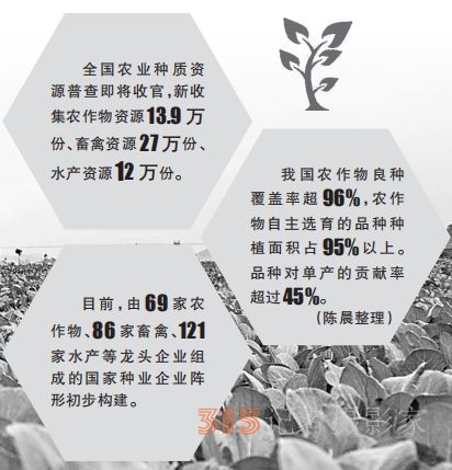攥紧中国种子，为良种装上“中国芯”