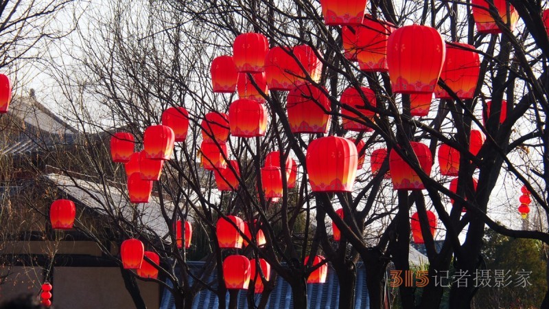 “辰龙闹春”——红红火火的红灯笼
