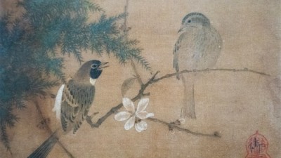 宋人没有照相机，用花鸟画再现博物世界