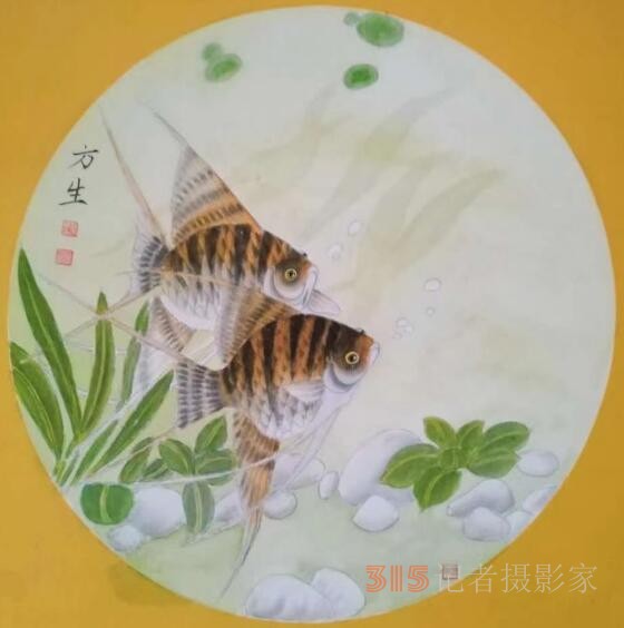 黄河鲤公赵方生画鱼