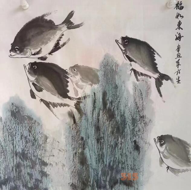 黄河鲤公赵方生画鱼