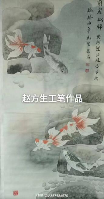 黄河鲤公赵方生画鱼