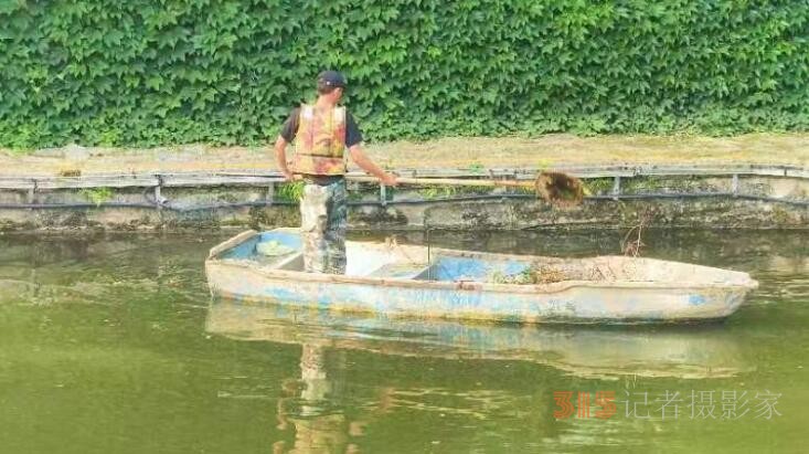 湖北省荆门市龙泉公园清理水中垃圾