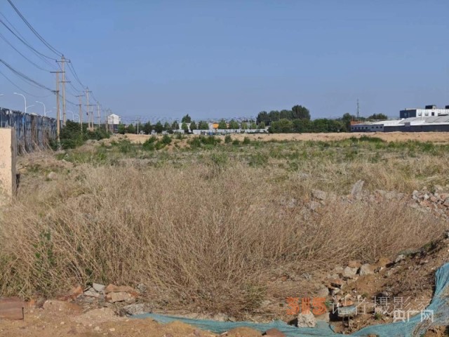 山东淄博经开区村集体三千多万征地补偿款悄然被“理财”