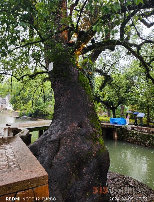 雨润丽水街