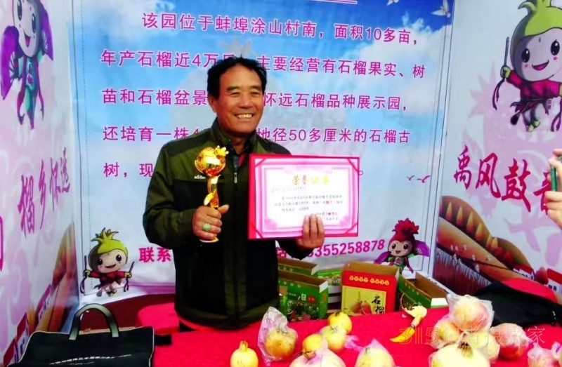 涂山石榴王——王为元