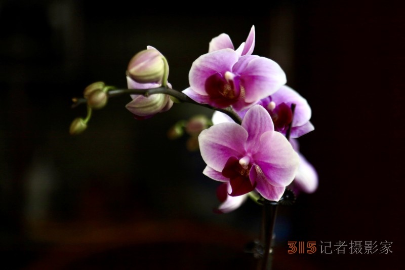 孙建军摄影:兰之韵