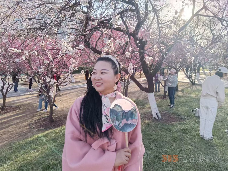 春分时节明城墙乐游赏梅