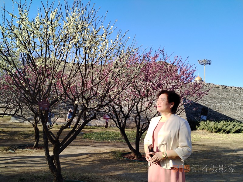 春分时节明城墙乐游赏梅