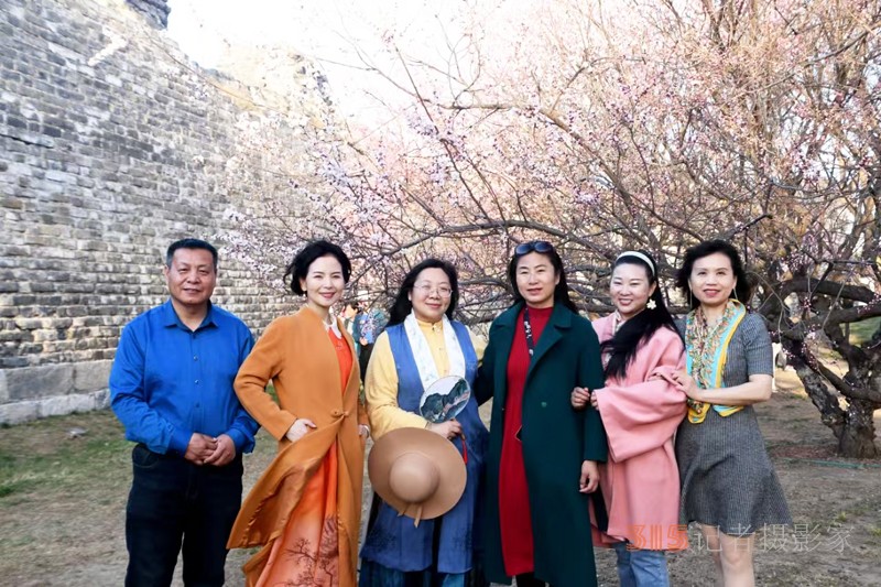 春分时节明城墙乐游赏梅