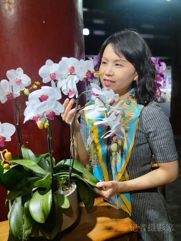 春分时节明城墙乐游赏梅