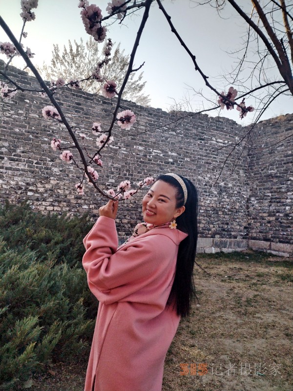 春分时节明城墙乐游赏梅