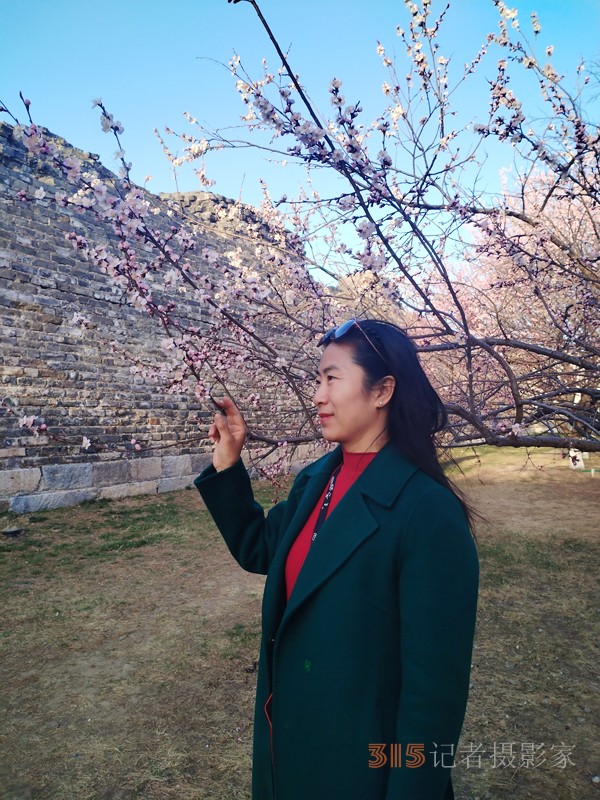 春分时节明城墙乐游赏梅